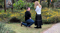 BurkeProposal