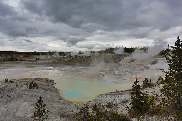 Norris Geyser Basin