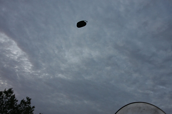 The flight of the hat....part 2.....